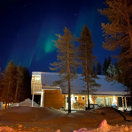 Willa Borealis *