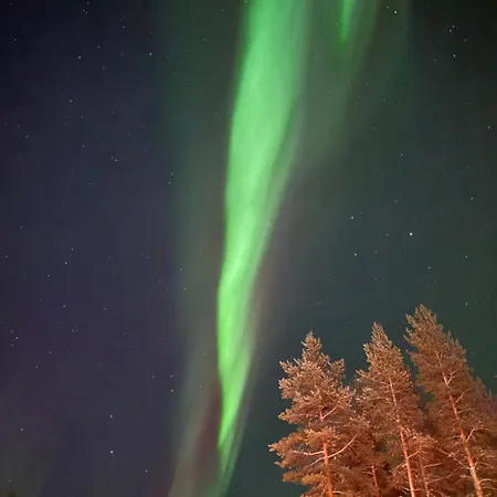 וילה Borealis לוי